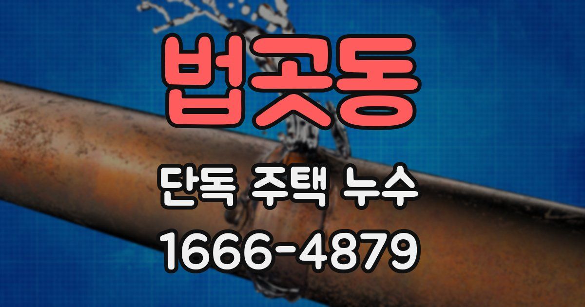 법곳동 단독 주택 누수