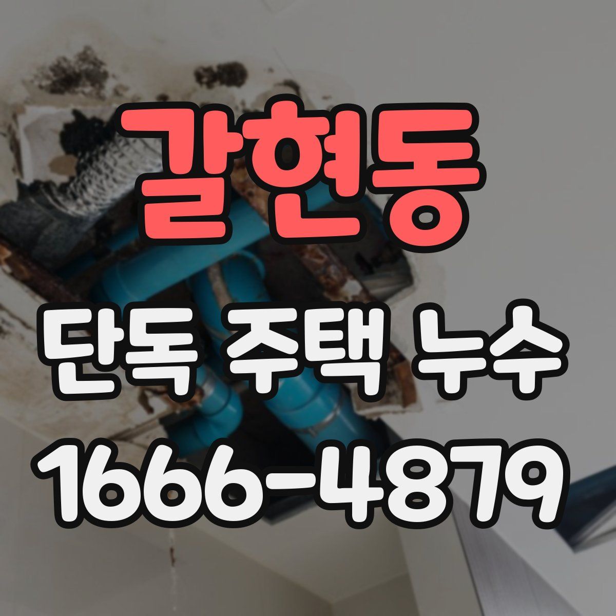 갈현동 단독 주택 누수
