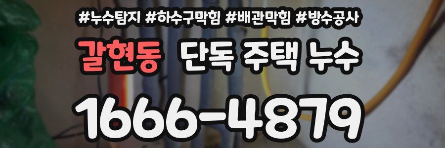 갈현동 단독 주택 누수