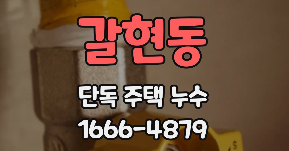 갈현동 단독 주택 누수
