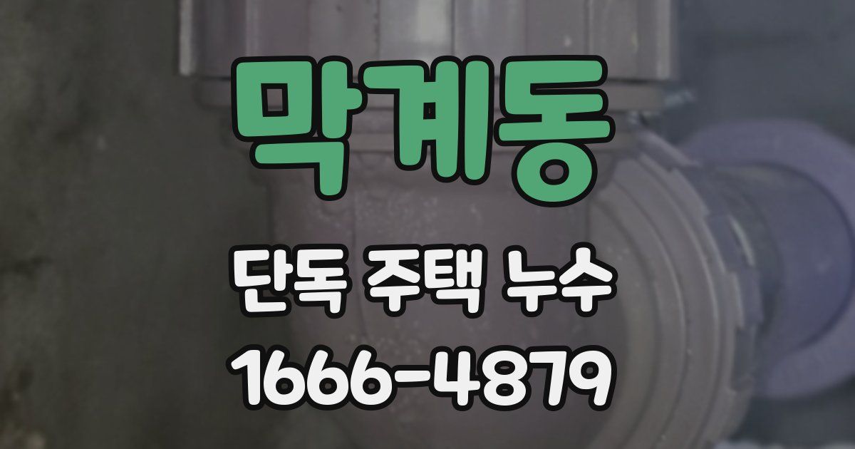 막계동 단독 주택 누수