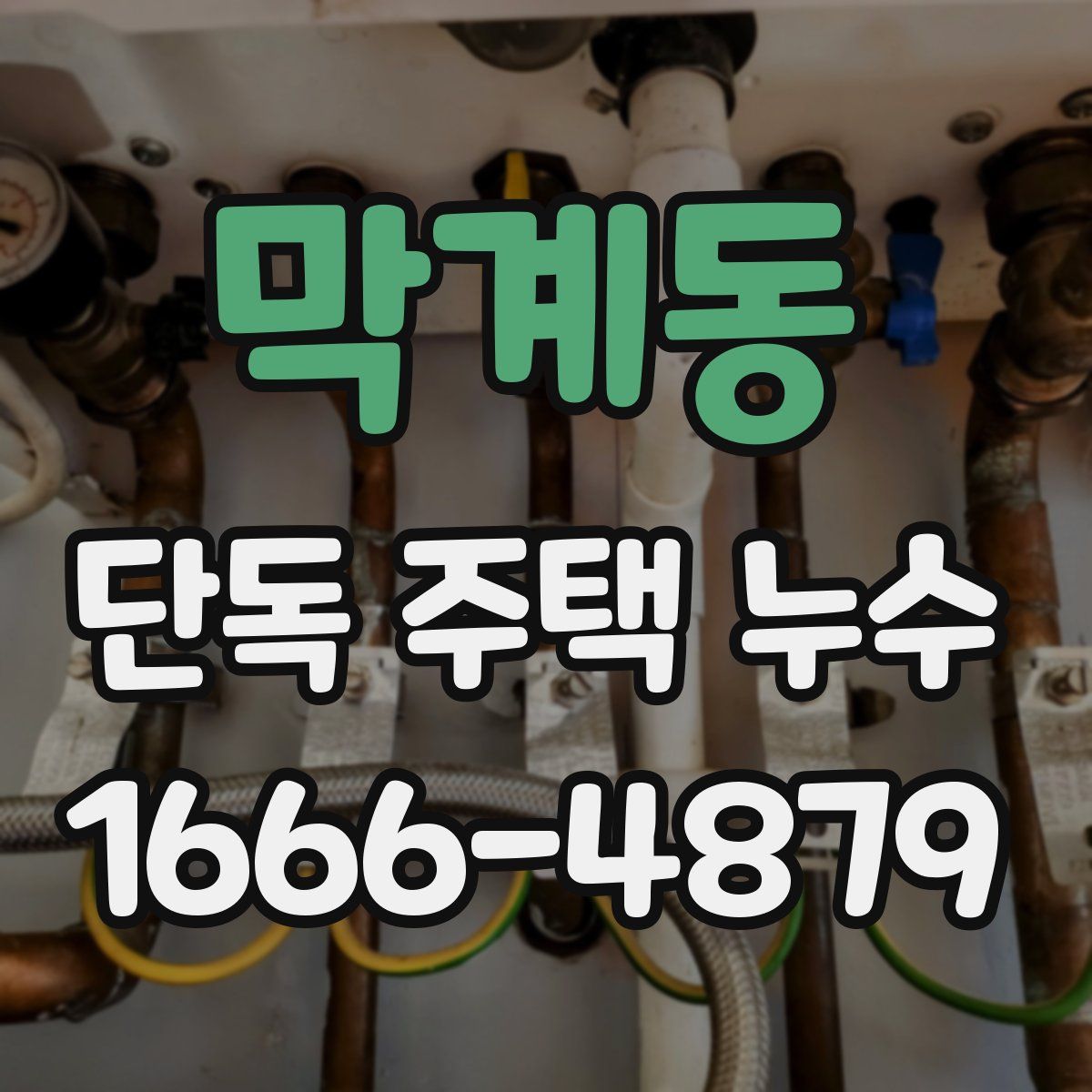 막계동 단독 주택 누수