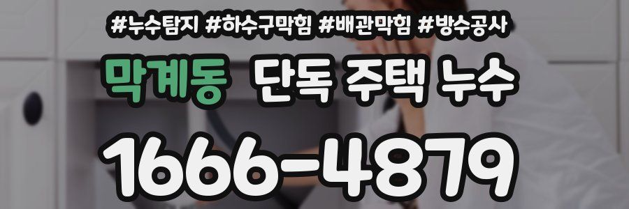 막계동 단독 주택 누수