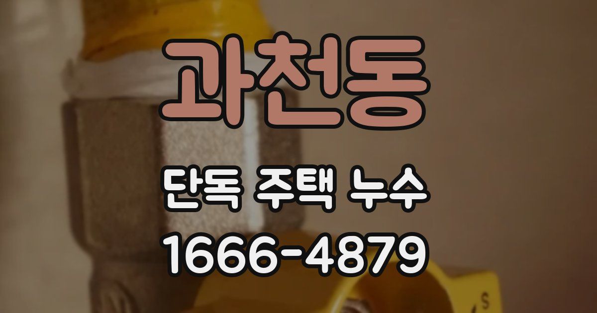과천동 단독 주택 누수