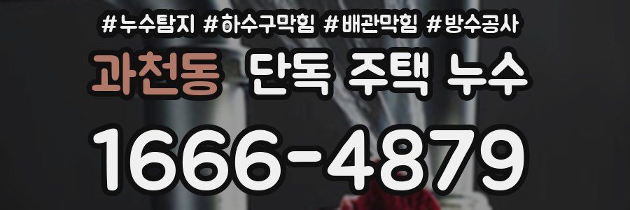 과천동 단독 주택 누수