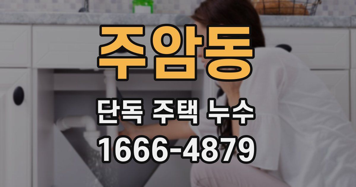 주암동 단독 주택 누수