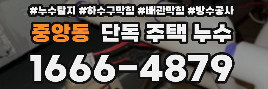 중앙동 단독 주택 누수