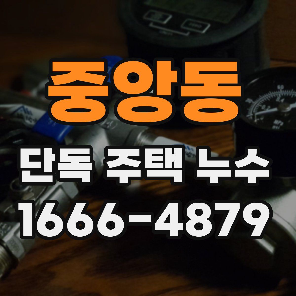 중앙동 단독 주택 누수