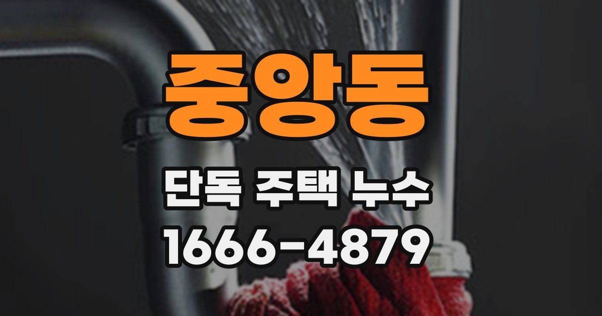 중앙동 단독 주택 누수