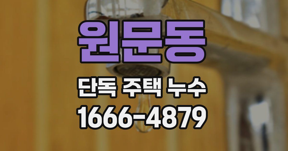 원문동 단독 주택 누수