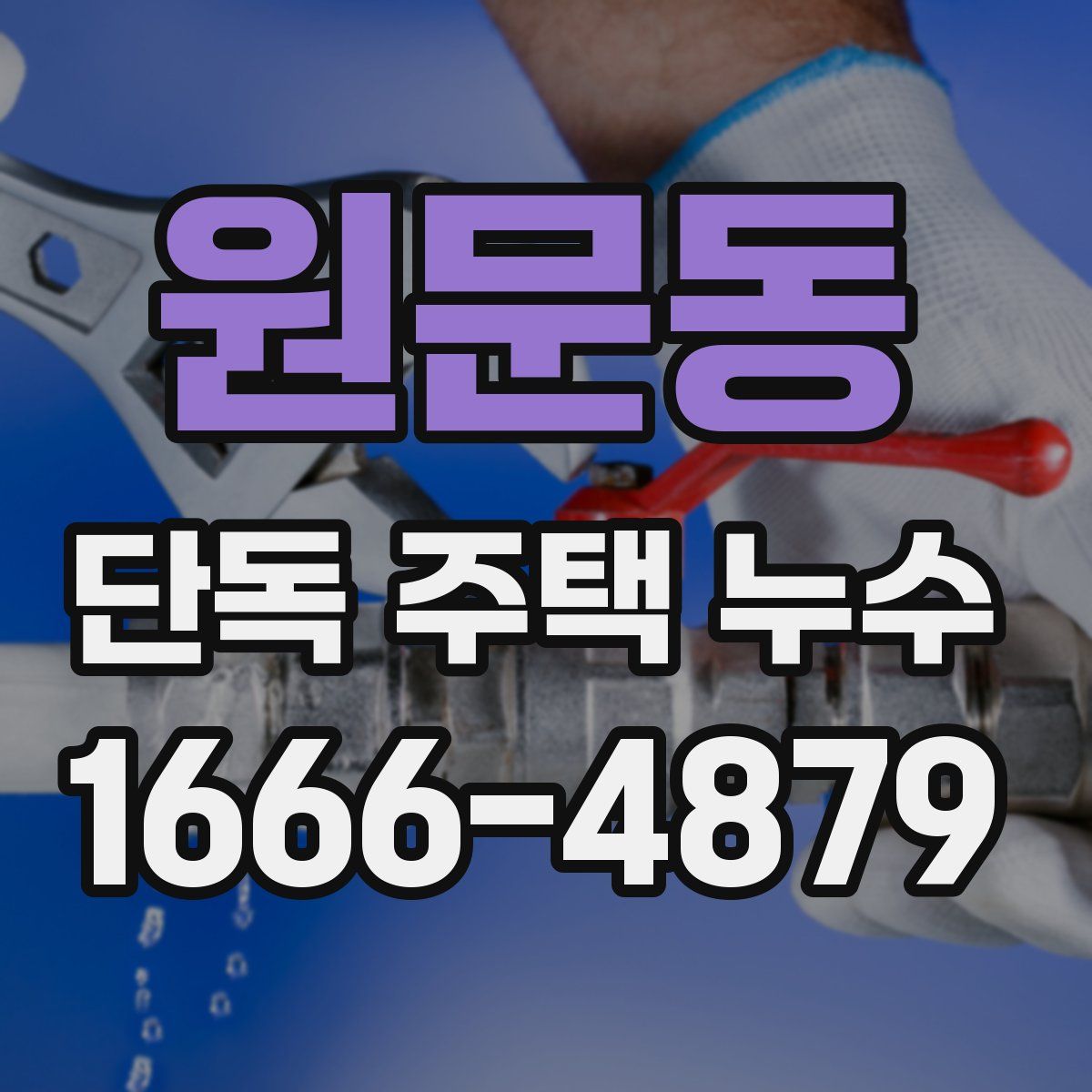 원문동 단독 주택 누수