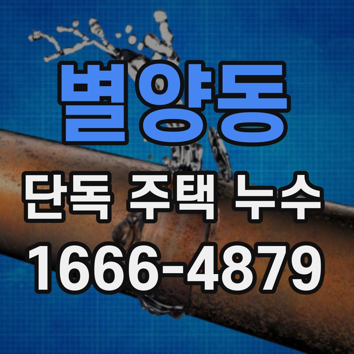 별양동 단독 주택 누수