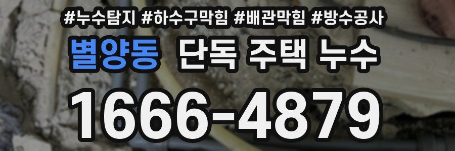 별양동 단독 주택 누수