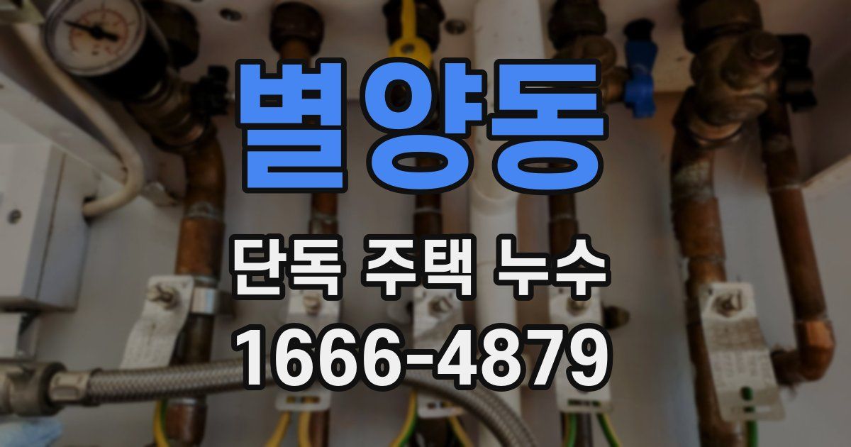 별양동 단독 주택 누수