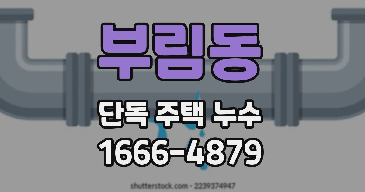 부림동 단독 주택 누수