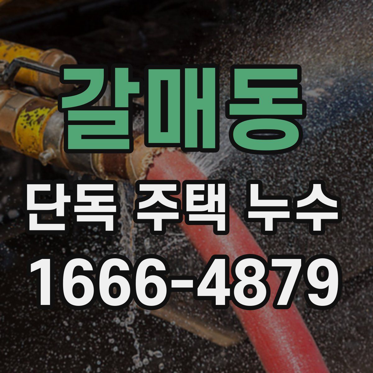 갈매동 단독 주택 누수
