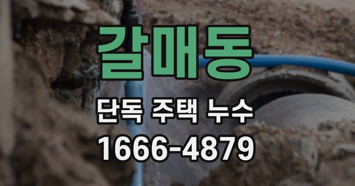 갈매동 단독 주택 누수