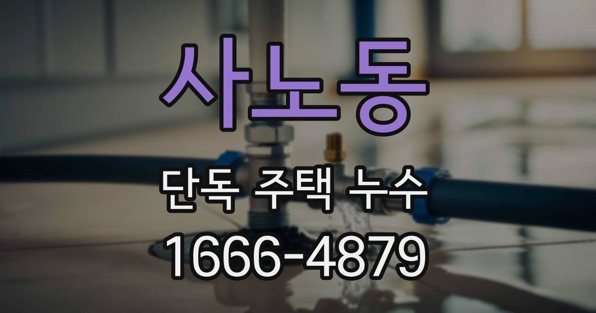 사노동 단독 주택 누수