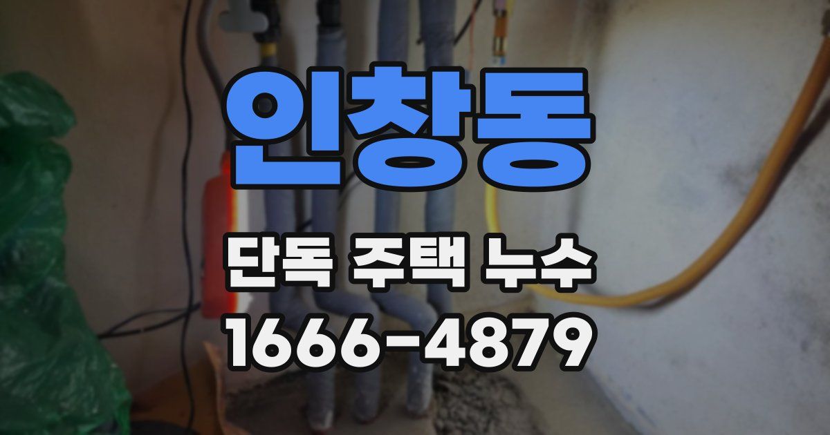 인창동 단독 주택 누수