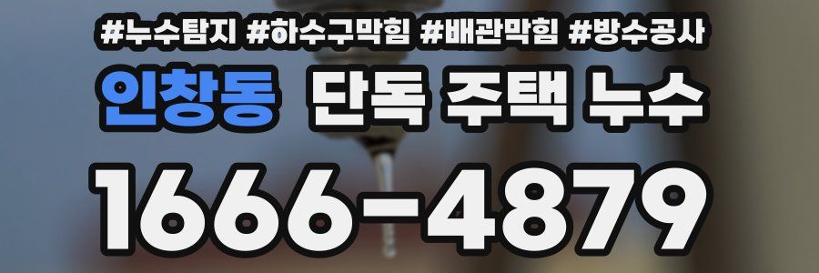 인창동 단독 주택 누수