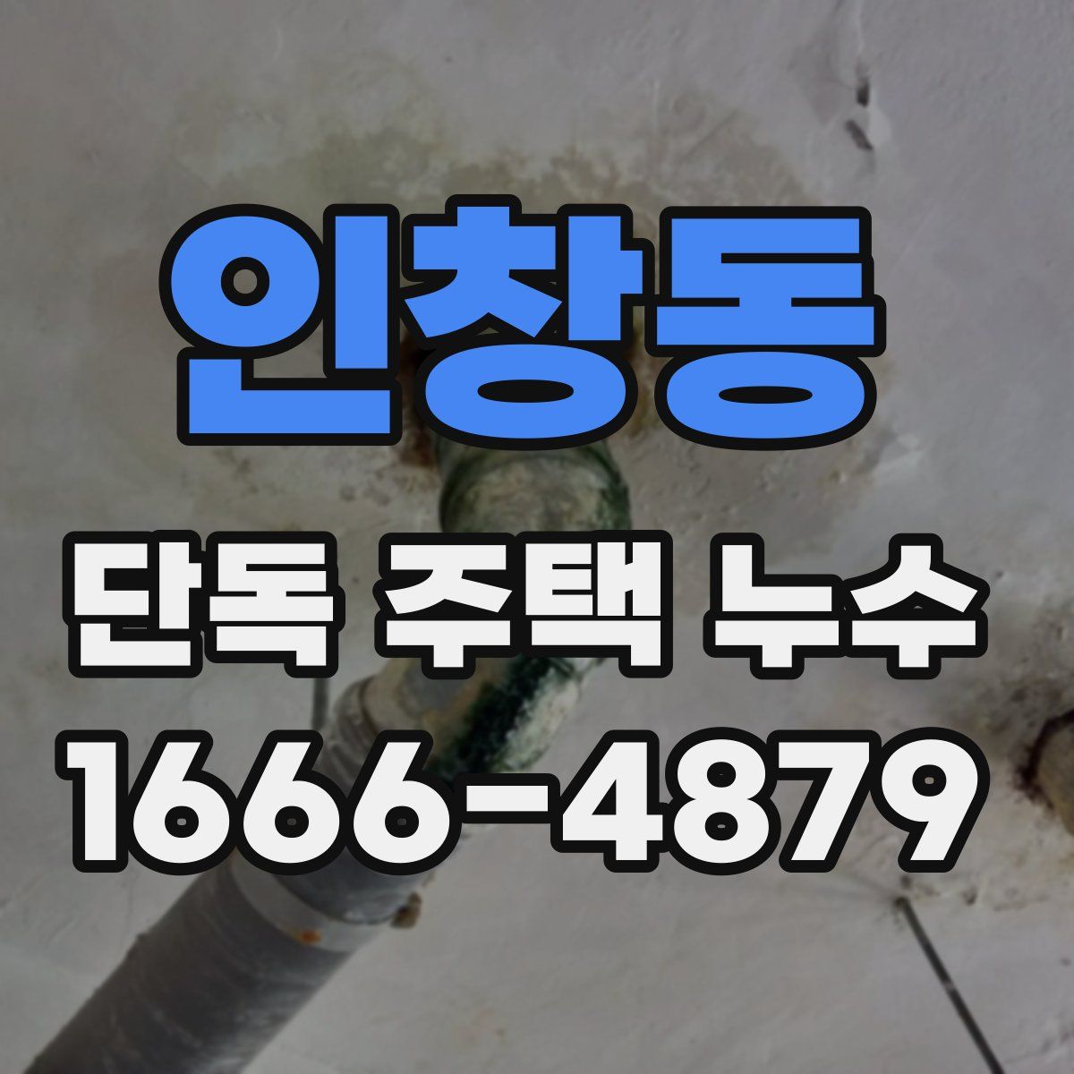 인창동 단독 주택 누수
