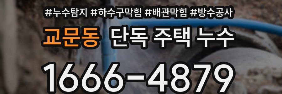교문동 단독 주택 누수