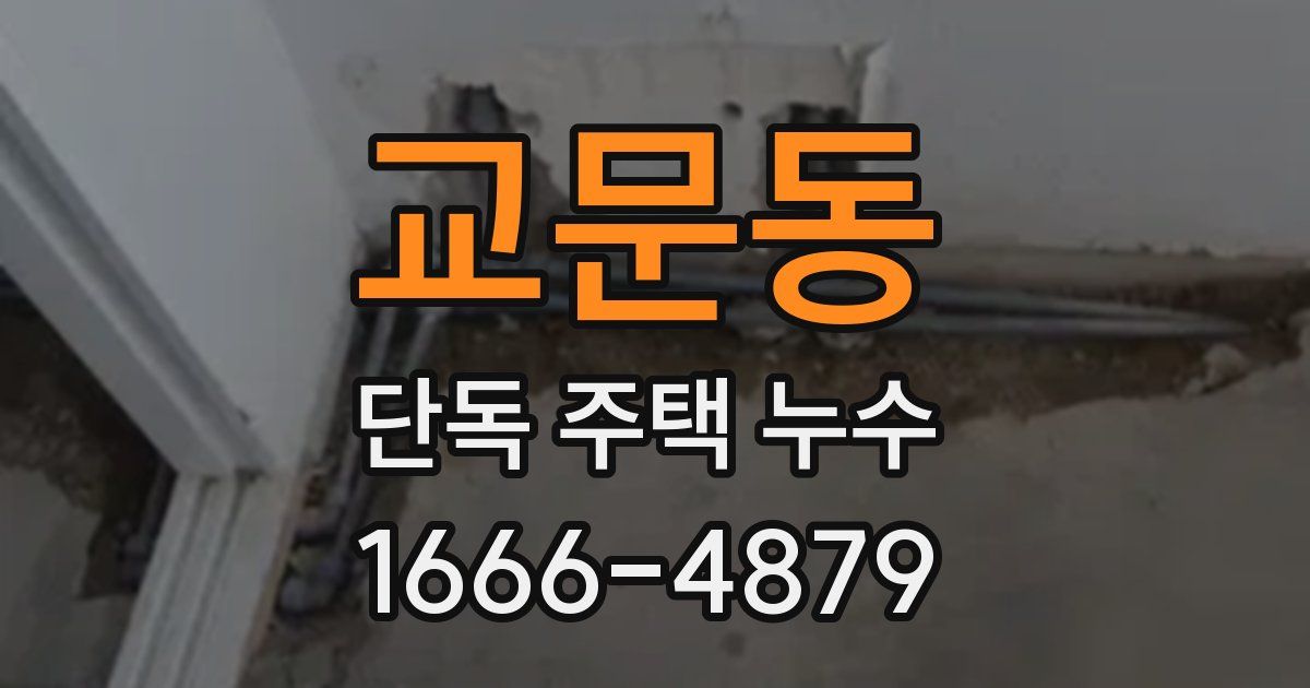 교문동 단독 주택 누수