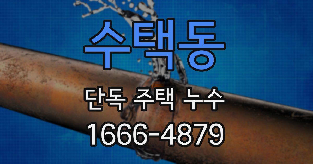 수택동 단독 주택 누수