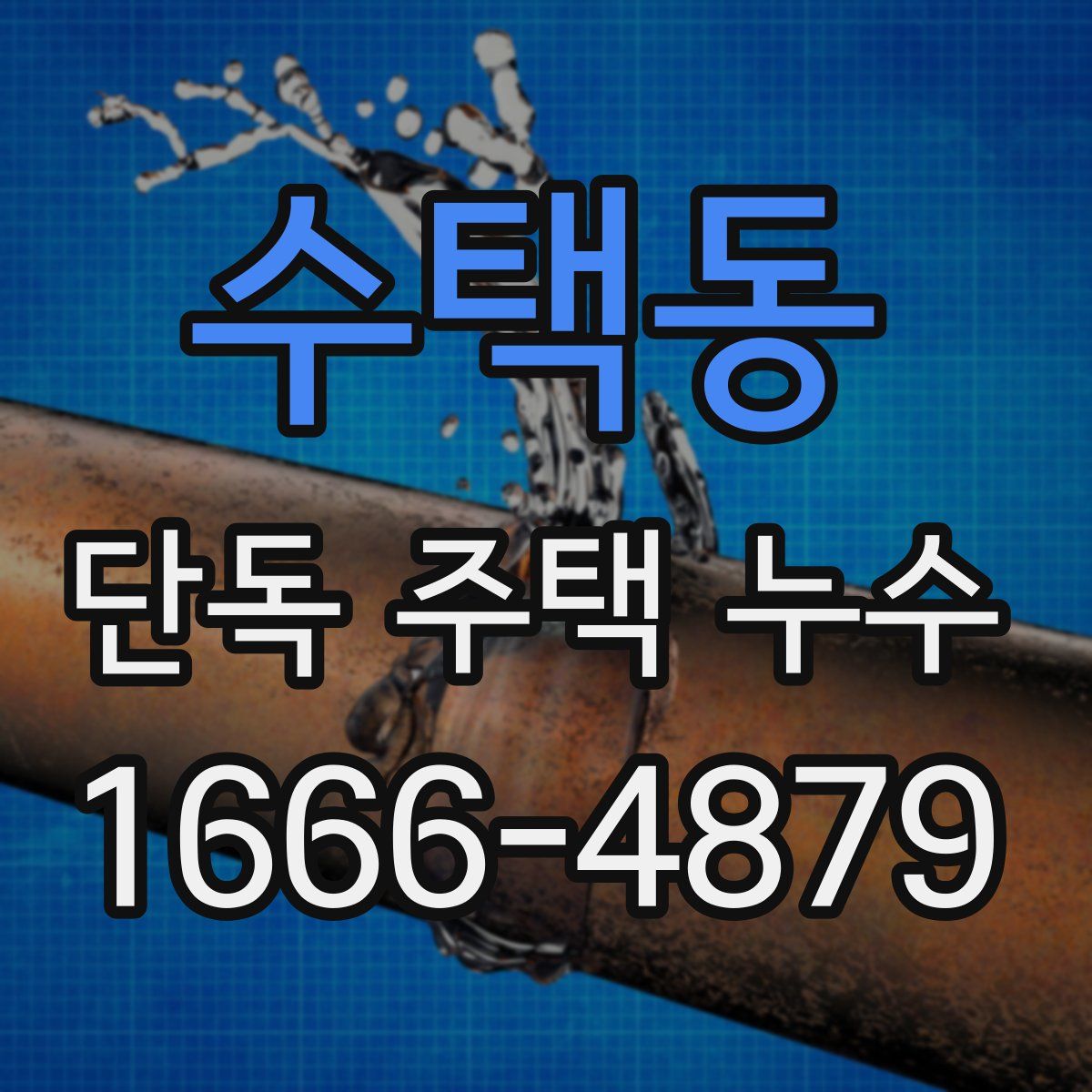 수택동 단독 주택 누수