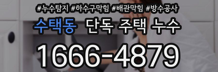 수택동 단독 주택 누수