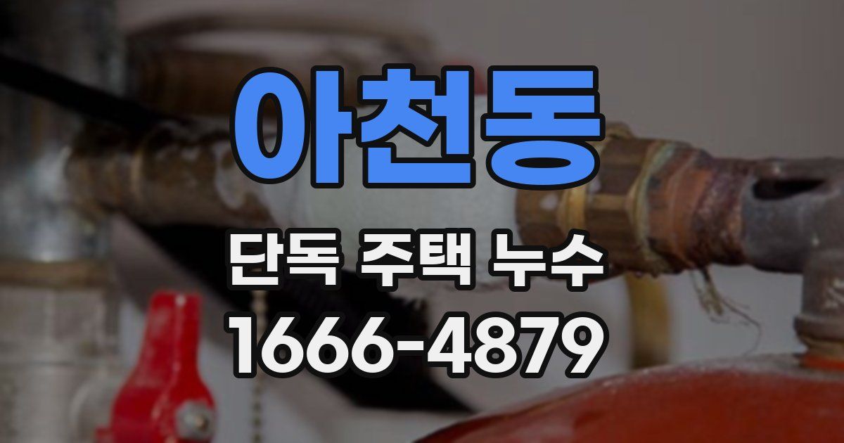 아천동 단독 주택 누수