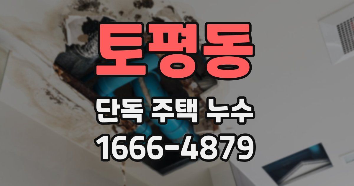 토평동 단독 주택 누수
