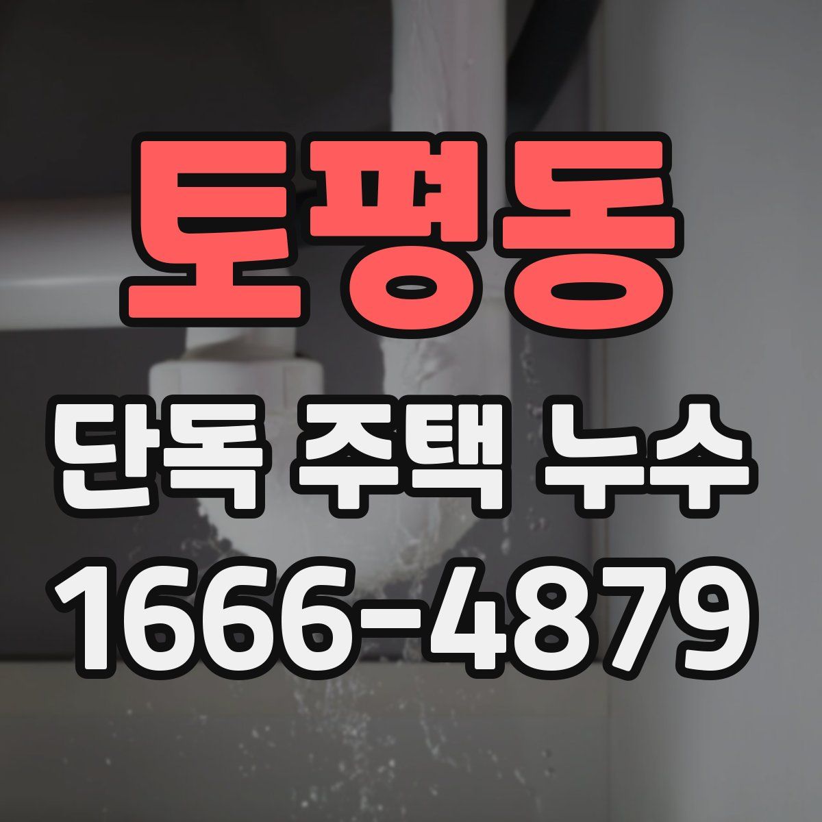 토평동 단독 주택 누수