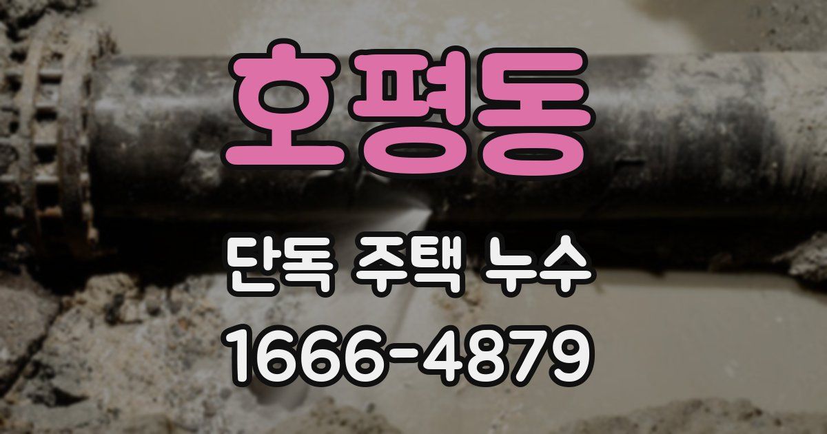 호평동 단독 주택 누수