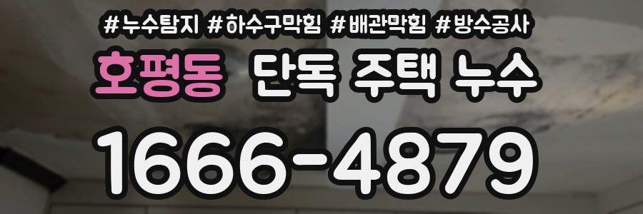 호평동 단독 주택 누수