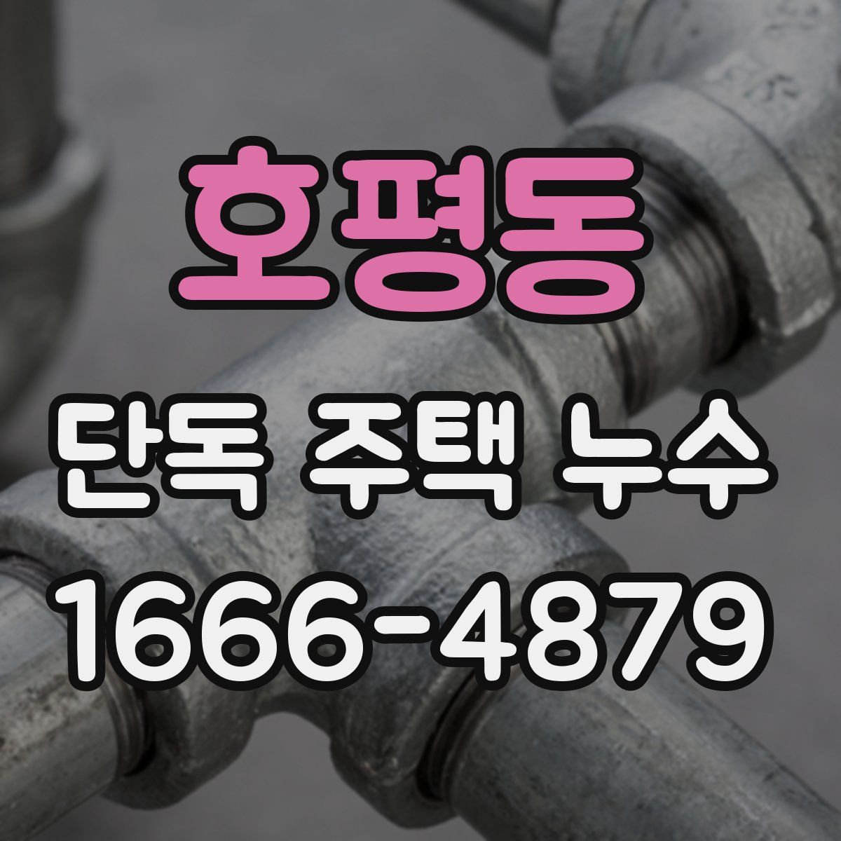 호평동 단독 주택 누수