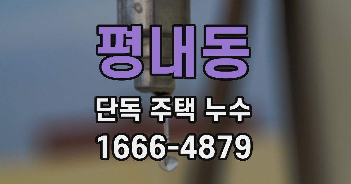 평내동 단독 주택 누수