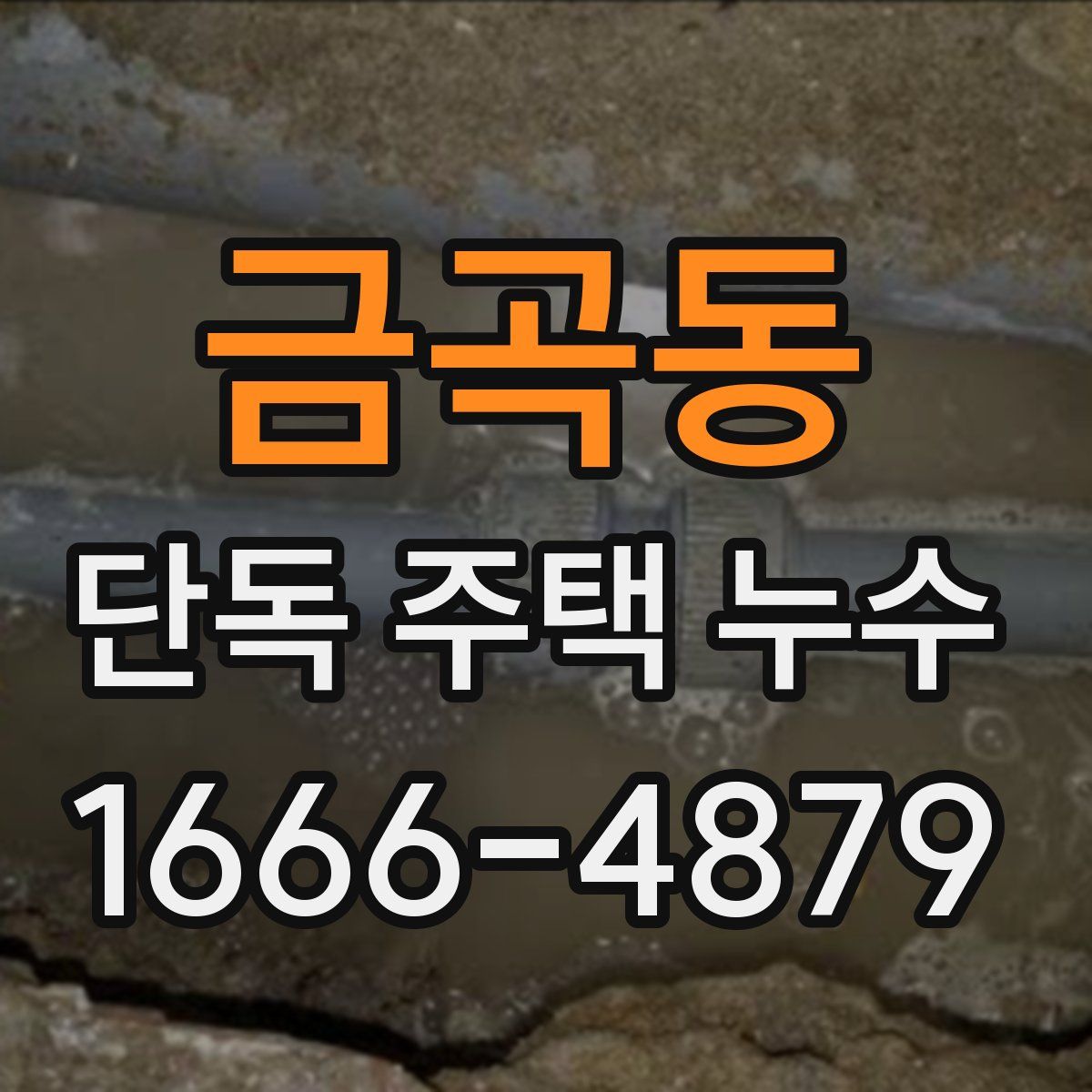 금곡동 단독 주택 누수