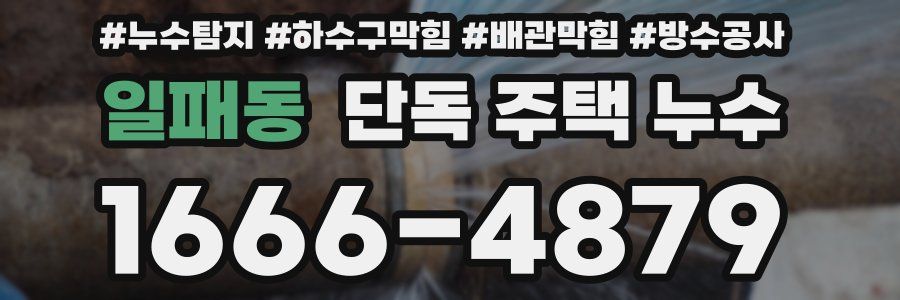 일패동 단독 주택 누수