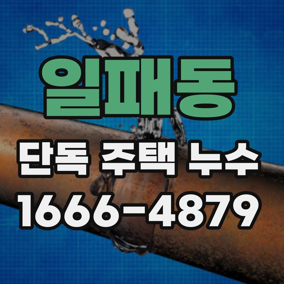 일패동 단독 주택 누수