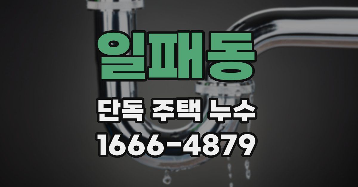 일패동 단독 주택 누수