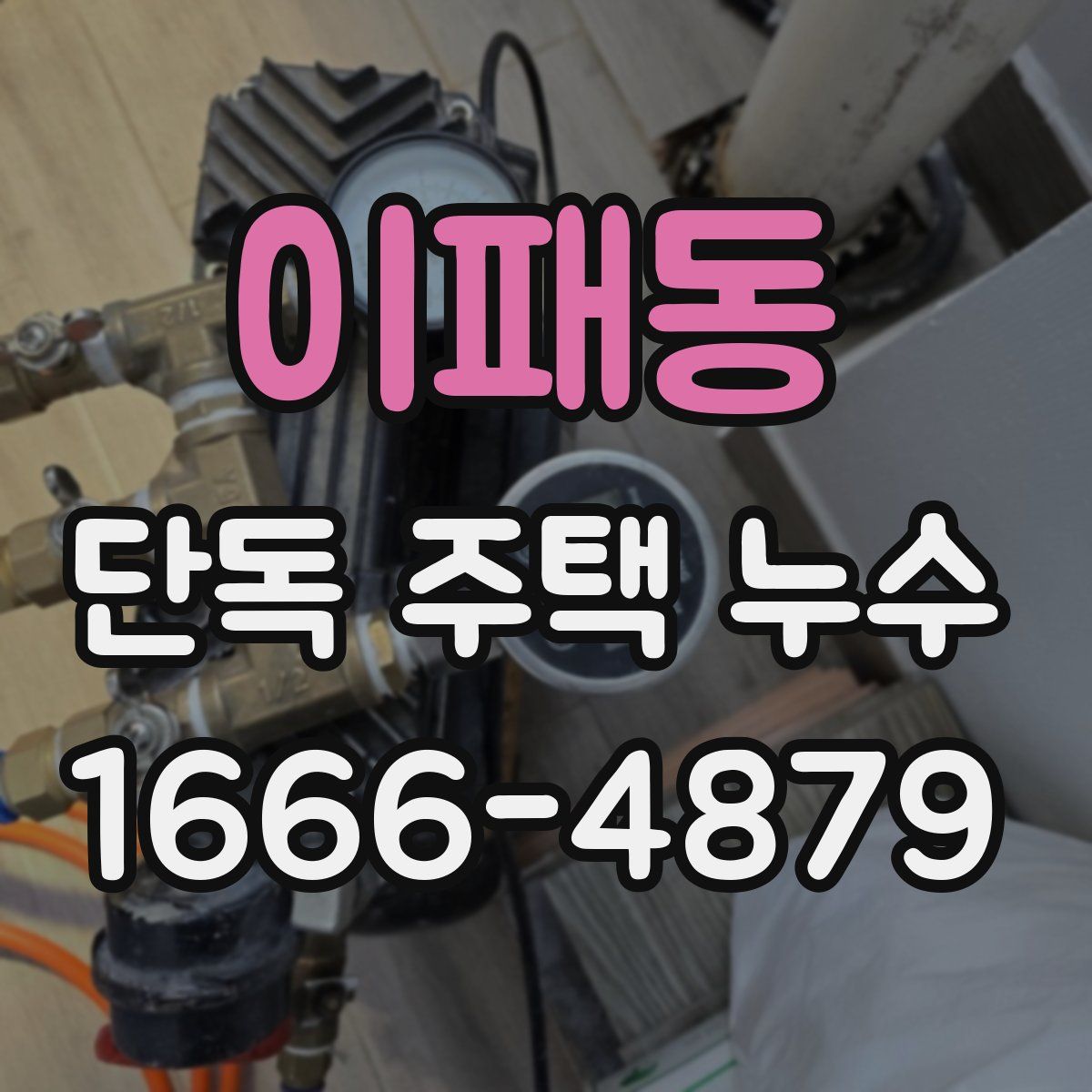 이패동 단독 주택 누수