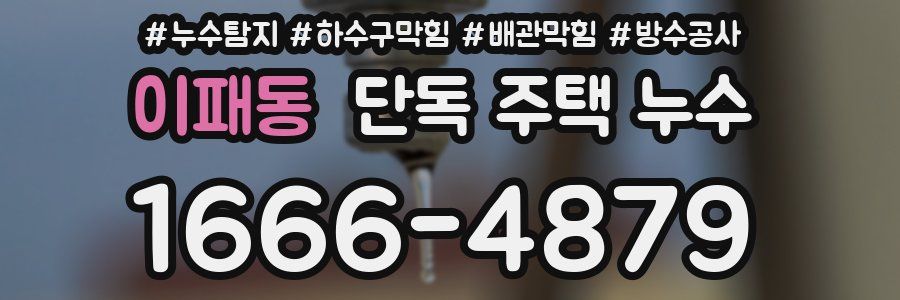 이패동 단독 주택 누수