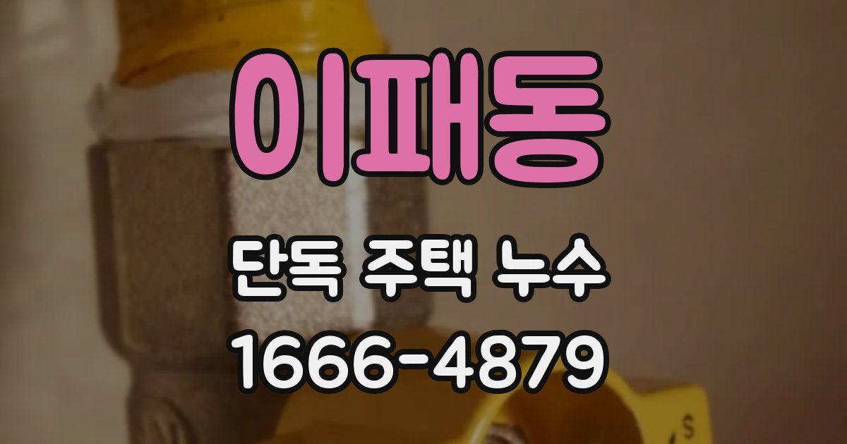 이패동 단독 주택 누수