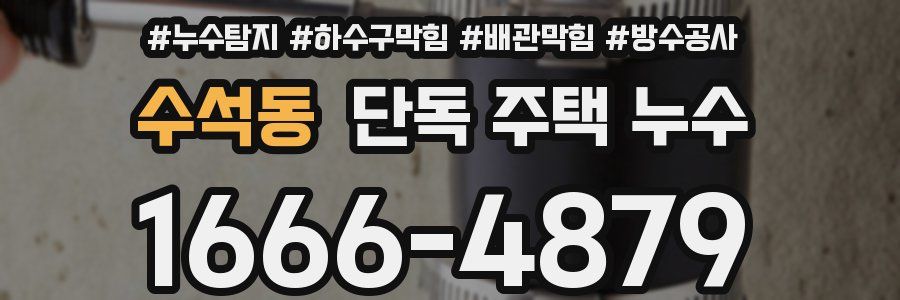 수석동 단독 주택 누수