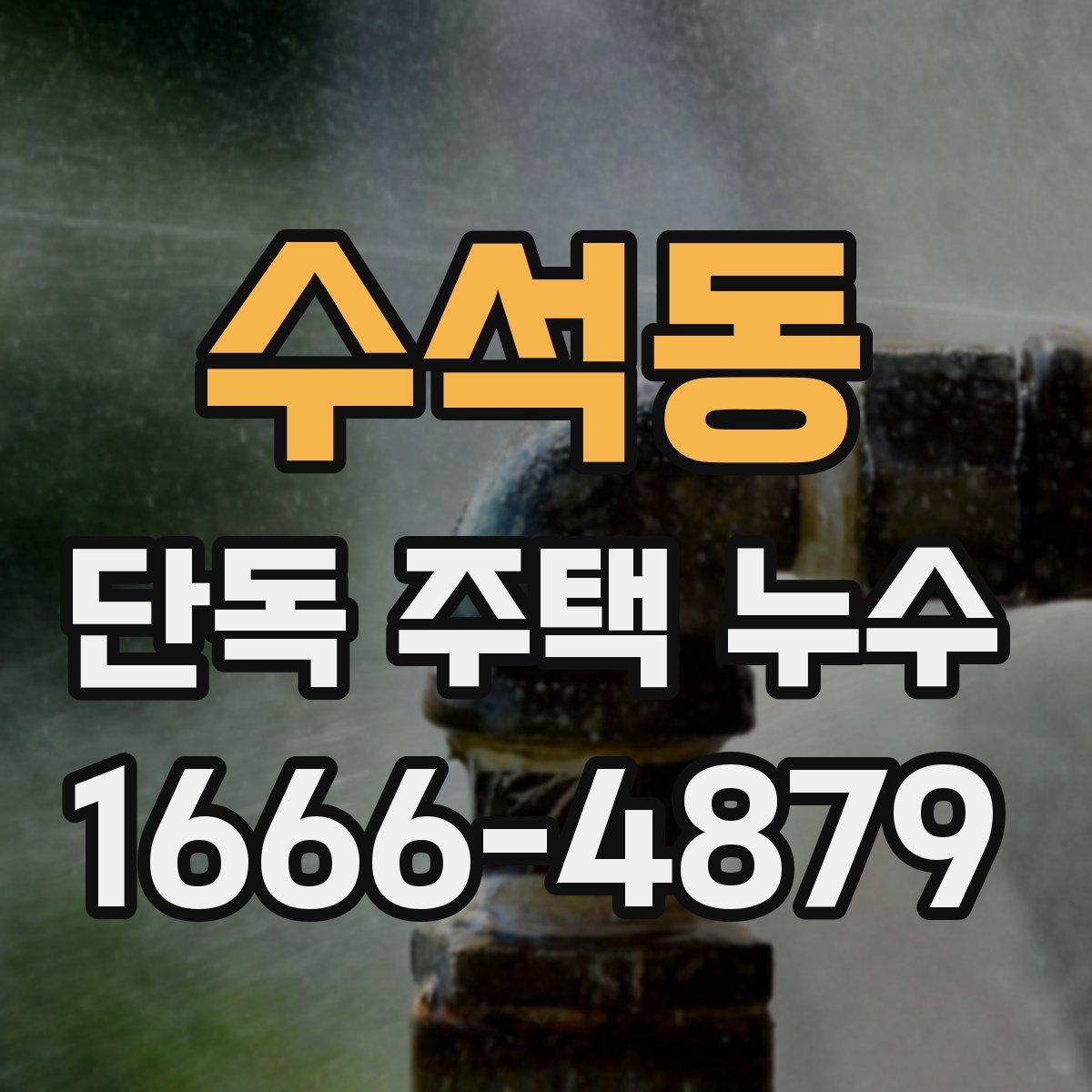 수석동 단독 주택 누수