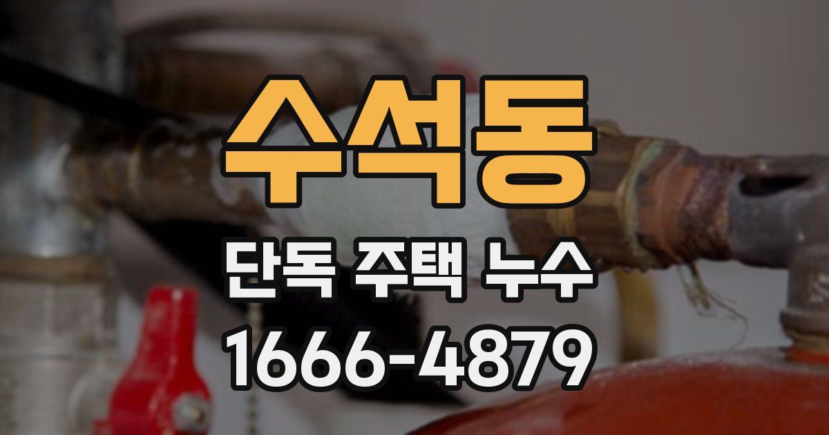 수석동 단독 주택 누수