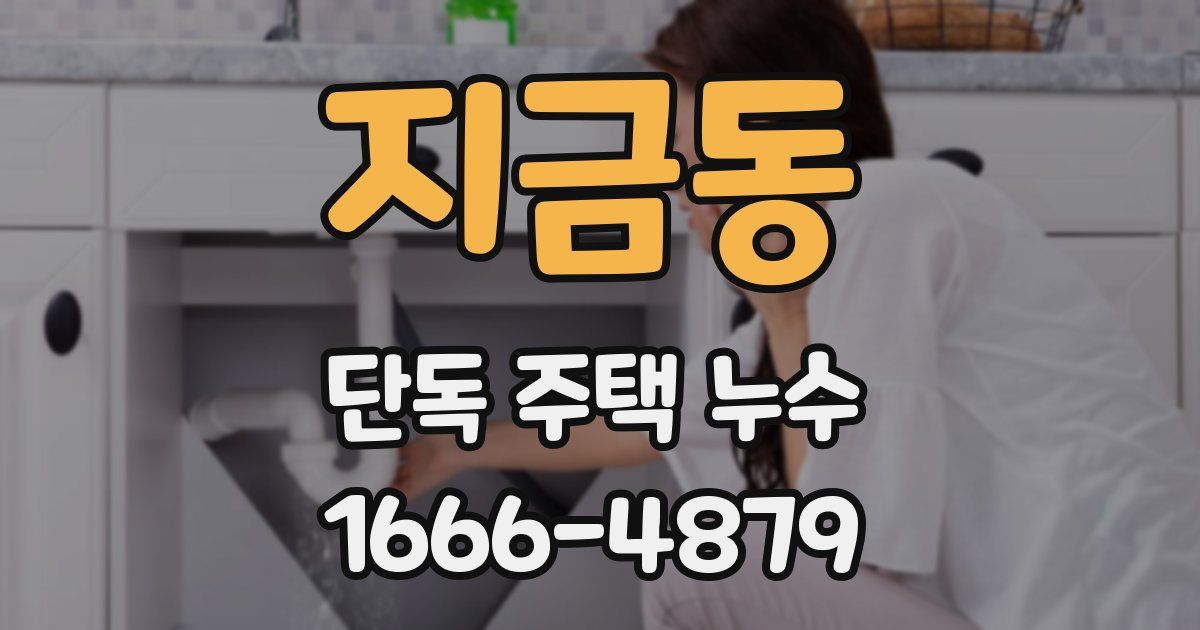 지금동 단독 주택 누수