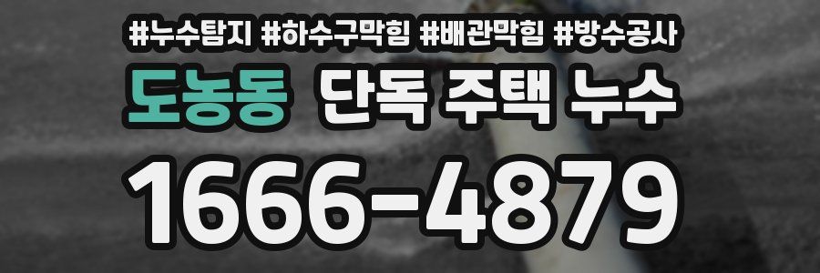 도농동 단독 주택 누수
