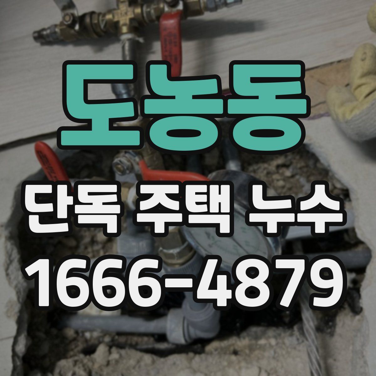 도농동 단독 주택 누수